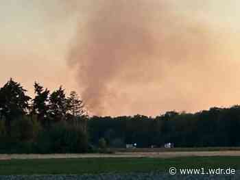 Waldbrand bei Weilerswist und Bornheim