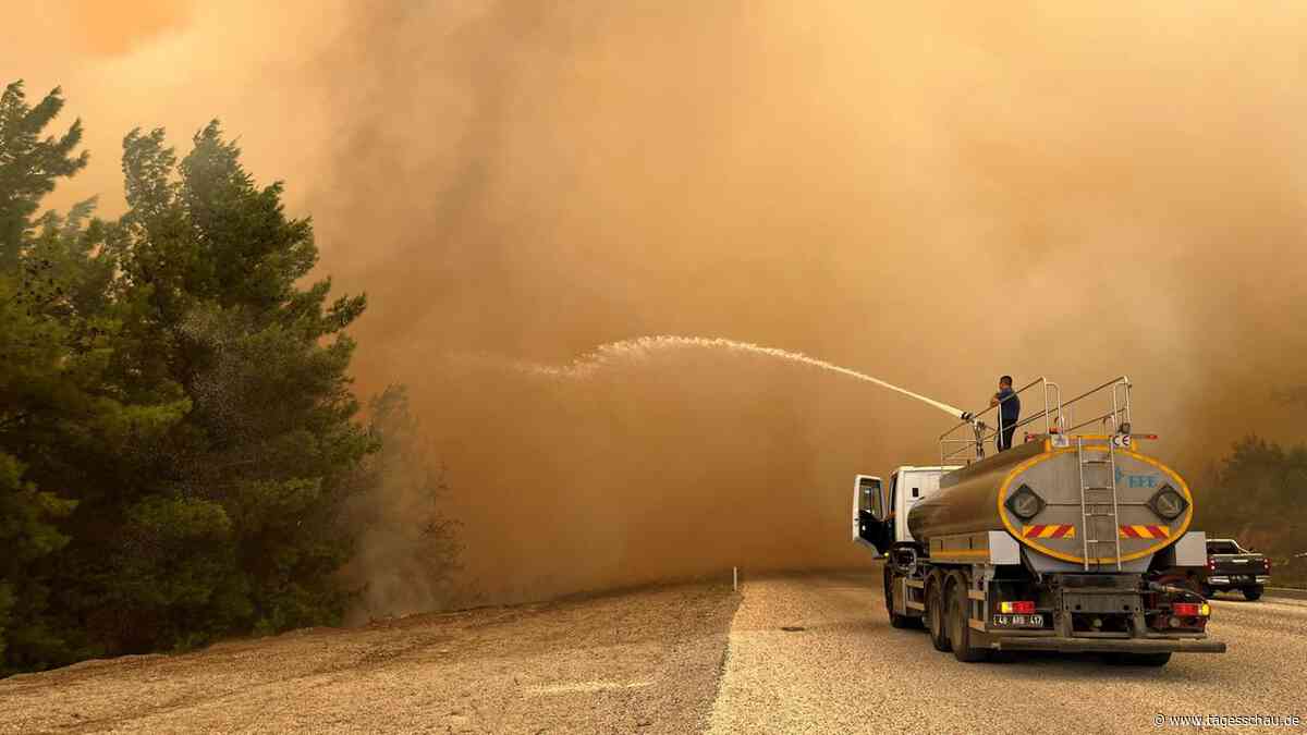 Waldbrände: Auch die Türkei und Griechenland kämpfen gegen Flammen