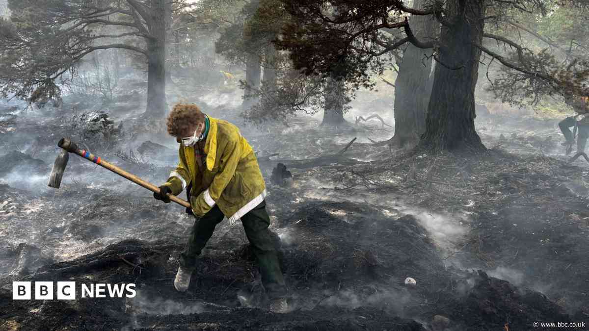 'Apocalyptic' damage as Cairngorms wildfire burns for two weeks