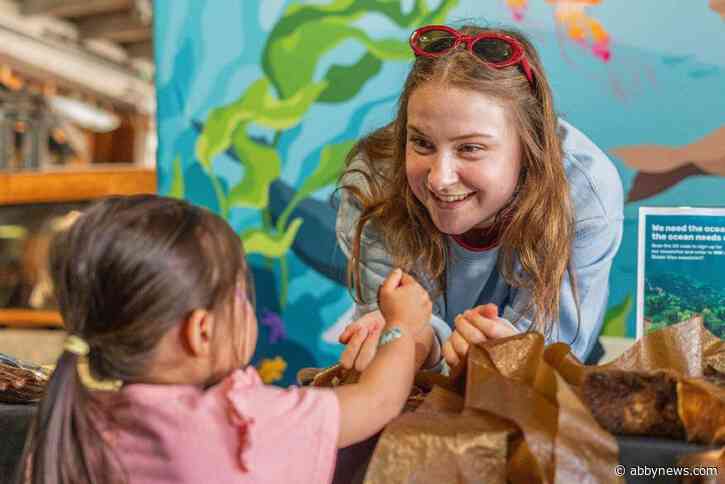 Ocean Wise brings whale education to Fraser Valley libraries