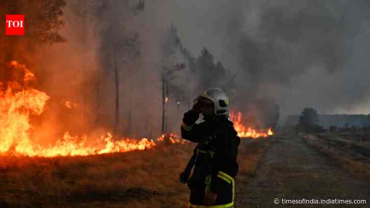 Canada’s 2023 wildfires burned 15.1 million hectares and released 554 million tonnes of carbon