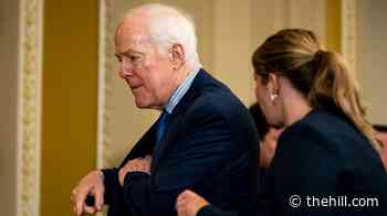 Trump shrugs off Cornyn's hold on Blanche: 'I heard he's going through quite nicely'