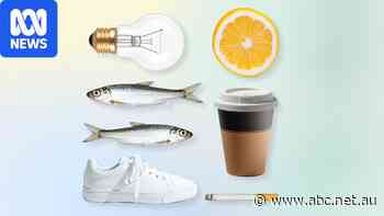 The everyday items that have gone up in price — and what's gone down