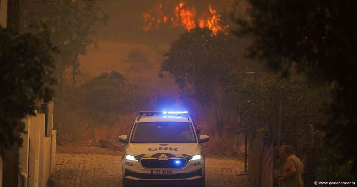 LIVE Natuurbranden | Evacuaties in Portugal om natuurbrand, dorp volledig omsingeld