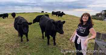 780km on a barge: a tiny herd of Angus restores family legacy on Lord Howe Island