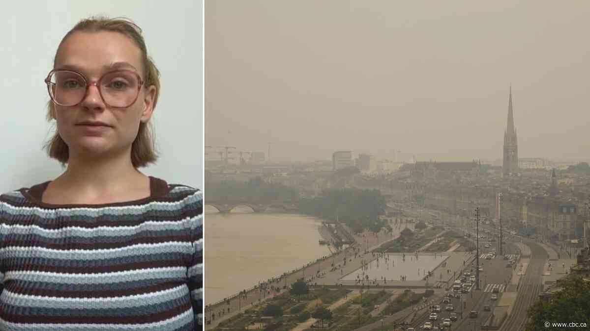 'Ash raining down': Canadian describes situation in Bordeaux amid France wildfires