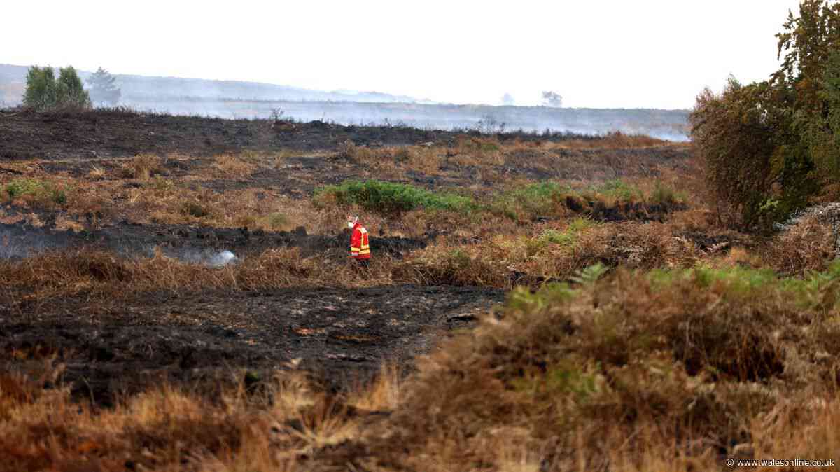 Fire service remain at scene of Blaenavon wildfire 11 days on