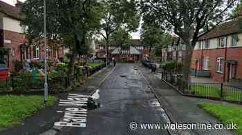 Armed police respond to 'dog attack' as three people hospitalised