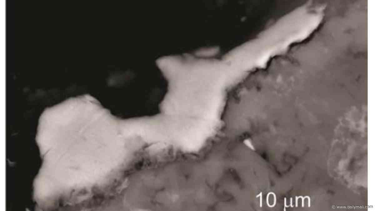 Hiroshima atomic bomb blast created a bizarre new metal that has NEVER been seen before on Earth, study finds