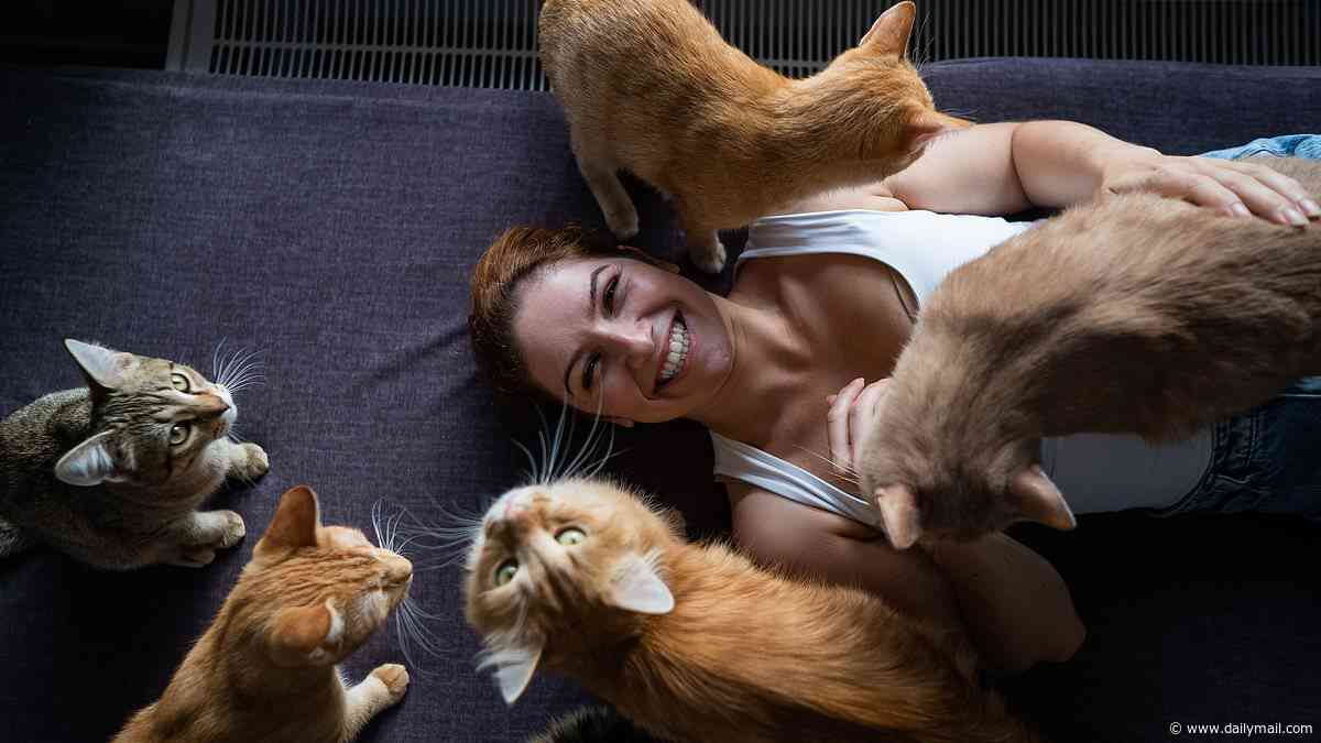 'Crazy cat ladies' really DO exist! Study confirms women feel more attached to their pets than men do