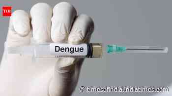 Ahead of dengue vaccine rollout, all 4 strains found in circulation