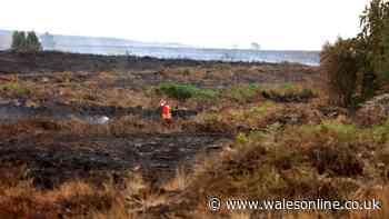 Firefighters remain at scene of Blaenavon wildfire 11 days on
