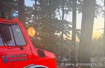 FW-RS: Waldbrand Westerholt