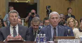 Dr. Anthony Fauci invokes 5th Amendment rights during Senate COVID hearing