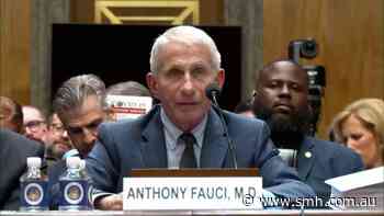 Dr. Fauci repeatedly invokes Fifth Amendment in COVID-19 Senate hearing