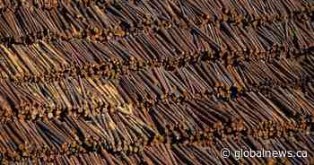 B.C. forestry company moving head offices to the U.S. amid struggles, tariffs