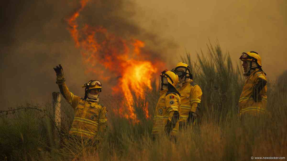 LIVE | Evacuaties in Portugal om snel verspreidende natuurbrand: dorp omsingeld door vuurzee