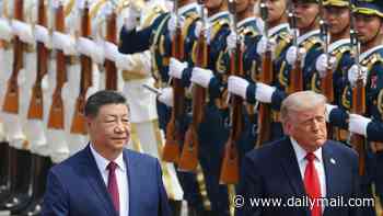 Trump's four-word response after China defied him with secret smuggling of weapons to Iran