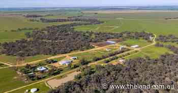 Whittier Park an outstanding property build for cattle production | Video