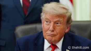 Trump says he 'respects' Biden's pardon of Fauci
