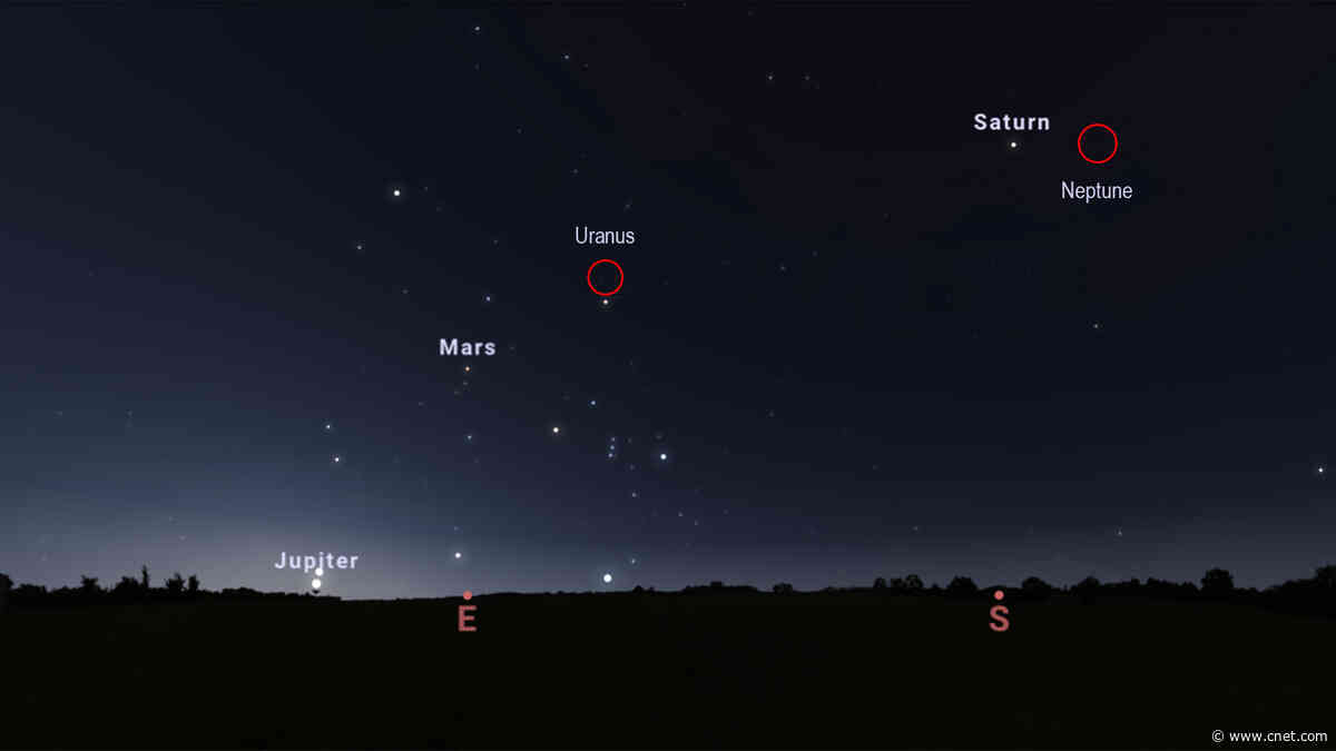 Planets, Meteors and an Eclipse: August Is Going to Be a Big Month for Skygazing