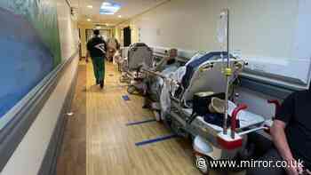 Damning data shows elderly and frail more likely to face 12-hour waits in A&E