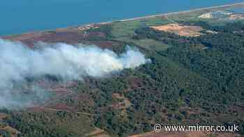 Dunwich Heath wildfire live: Major incident declared at National Trust site in Suffolk