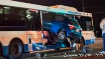 Car left hanging in the air after slamming into Brisbane council bus at major intersection