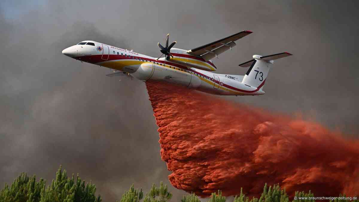 Waldbrände in Spanien: Schweres Feuer an der Grenze zu Portugal ausgebrochen