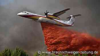 Waldbrände in Spanien: Schweres Feuer an der Grenze zu Portugal ausgebrochen