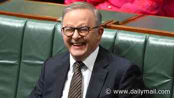 Aussies slugged with cost of living blow again: Albanese defends ending fuel excise discount as petrol prices surge