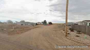 Colorado homeowner puts $200k property on market with squatters STILL inside