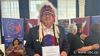 First Nation in northern Manitoba proposes class-action lawsuit after winter power outage