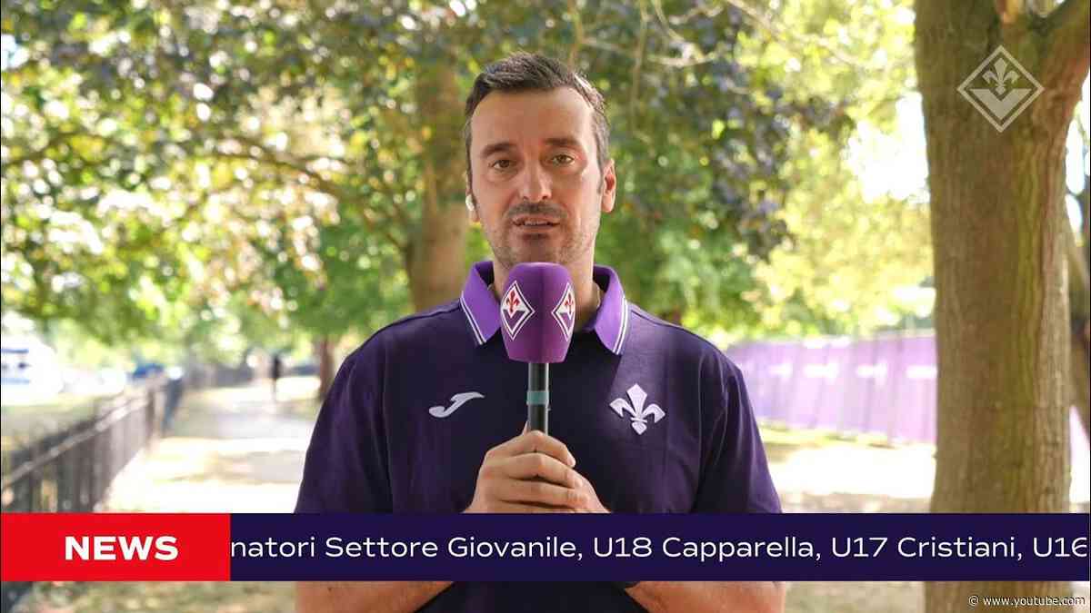 VIOLA DAILY LIVE - 29 LUGLIO 2026