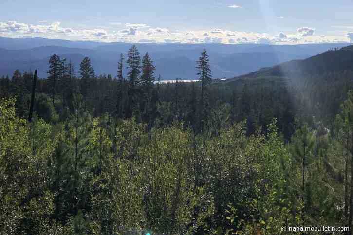Study shows clear-cut logging affects flood risk in B.C.