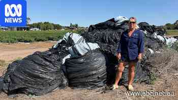 Farmers seek solution to mounting plastic waste problem