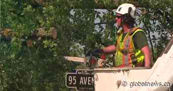 Thunderstorm cleanup expected to cost City of Edmonton $20-$30 million