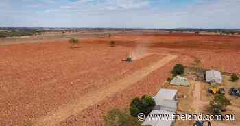 Cropping, livestock enterprise with self-mulching black soils | Video