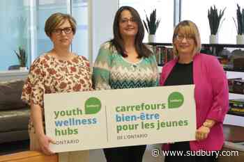 Spark Employment, Youth Wellness Hub form new partnership