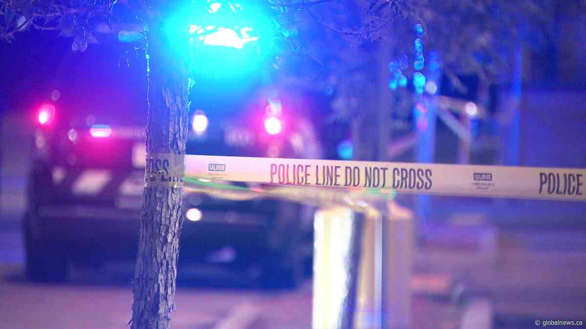 Edmonton’s overall crime rate up in 2025, but violent offences decrease
