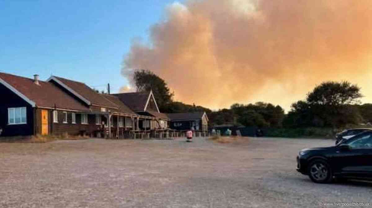 Major incident declared at National Trust as fire breaks out near Sizewell B nuclear plant