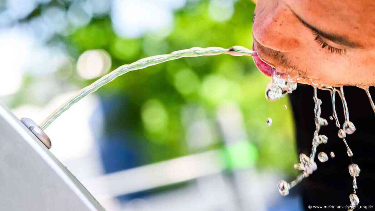 Brunnen statt Flasche: Wie Sie kostenlos Trinkwasser finden