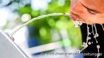 Brunnen statt Flasche: Wie Sie kostenlos Trinkwasser finden