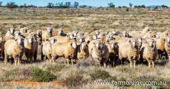 Dare to dream | Rare lease opportunity for 88,500ha outback SA sheep stations