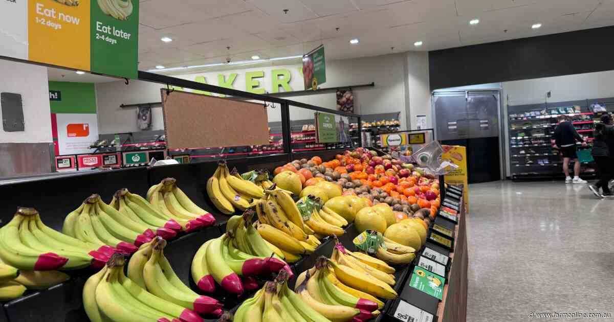 Explainer: dairy and fruit offset meat price falls in latest inflation data