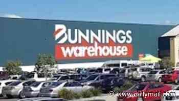 Dog is put down after attacking young girl at Bunnings in Victoria