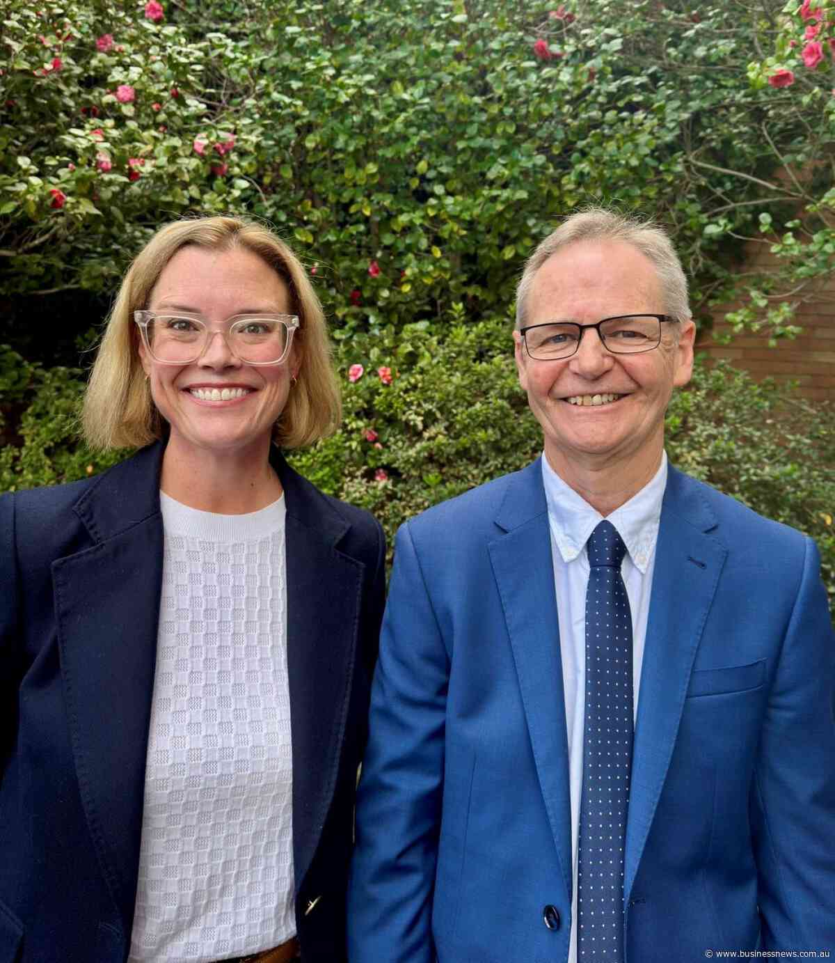 Monitor appointed to another WA council