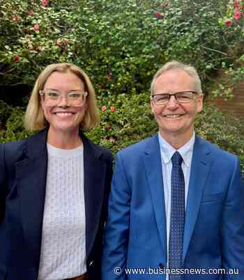 Monitor appointed to another WA council