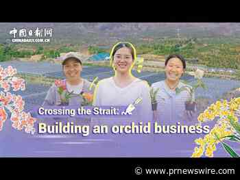 China Daily: Orchid grower cultivates cross-Strait community
