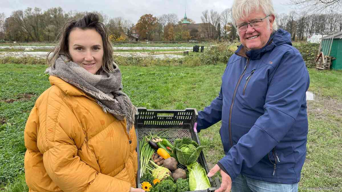 Bio-Gemüsegärtner unter Druck: Nachfrage nach Abo-Kisten sinkt spürbar